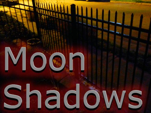 Moon Shadows Kindle Edition