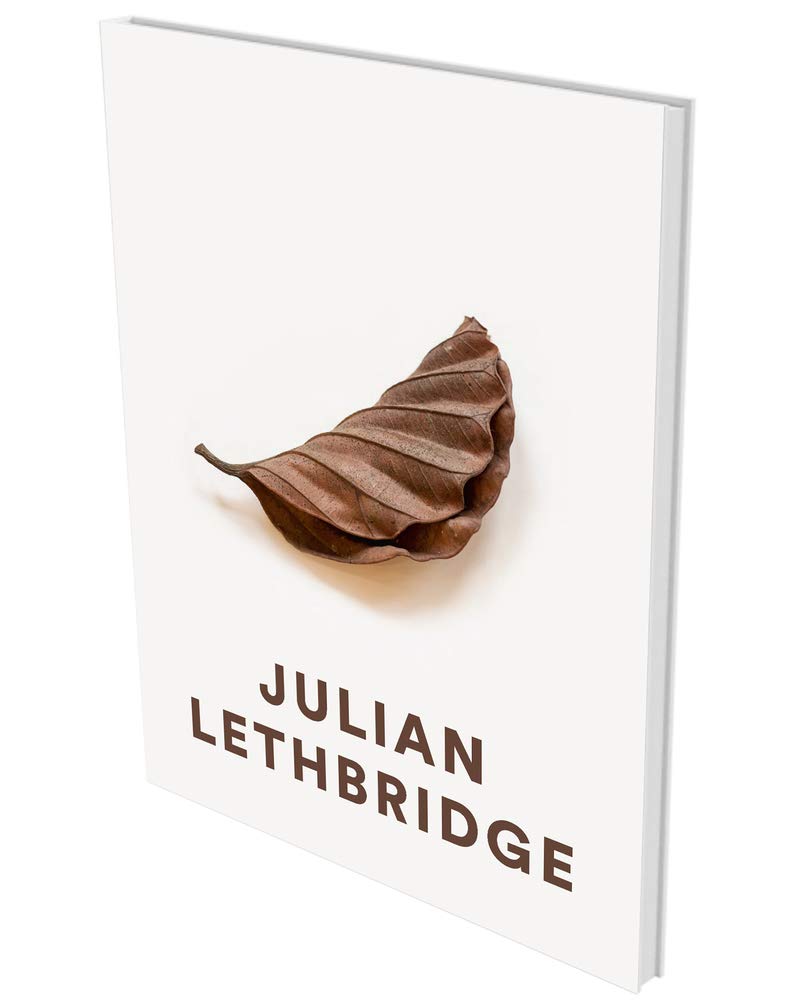 Julian Lethbridge livre d'art contemporain abstrait pour collectionneurs et passionnés de peinture