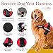 ALBCORP Service Dog Vest Harness – Reflective Service Animal Vest with Handle, No-Pull Adjustable Mesh Padding – XXS–XL – 2 Removable Patches. (Extra Large, Red)
