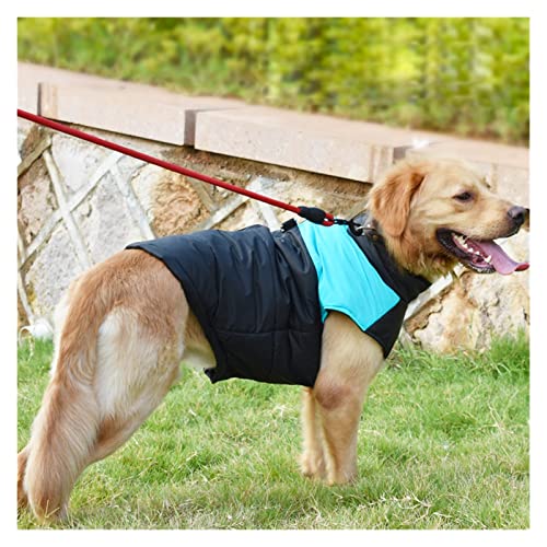 Manteau imperméable pour chien et coupe-vent avec fermeture éclair dorsale