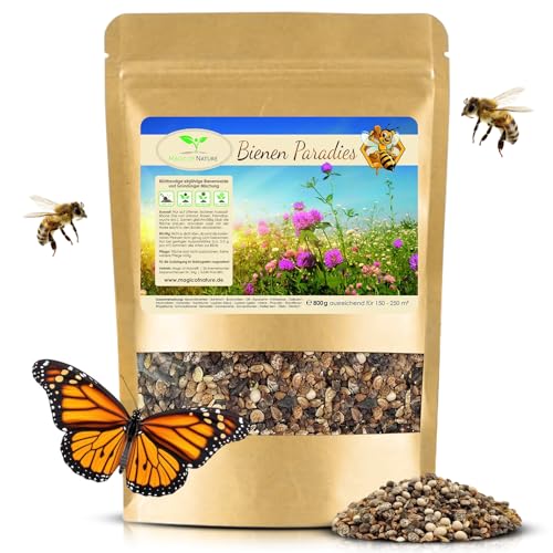 Mélange de Graines de Fleurs Magic of Nature - Paradis des Abeilles - 800 g pour 150 à 250 m²- Facile à utiliser - Prairie fleurie pour abeilles