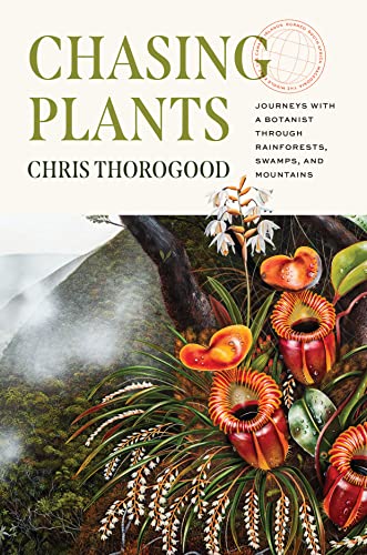 Chasing Plants view 2