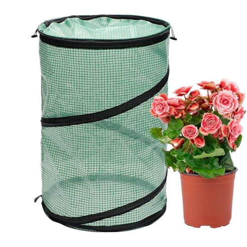 Invernadero pequeño para interiores, pequeño invernadero de interior – Invernadero plegable para patio trasero, invernadero para plantas de interior – Tienda de invernadero compacta, tienda para