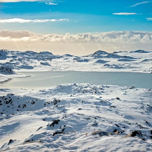 En busca de plenitud