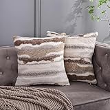 Juego de 2 fundas de cojín decorativas de 22 x 22 pulgadas, marrón y café