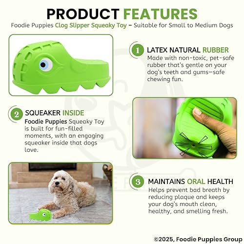 Image of Foodie Puppies Clog Slipper Squeaky Toy for Dogs & Puppies | Soft, Fun, Durable Chew Toy for Small to Medium Dogs | Indoor Interactive Pet Play Toy with Built-in Squeaker for Entertainment