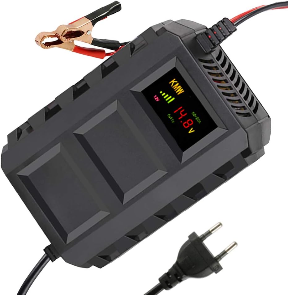 Enjoygoeu Battery Charger Maintainer, 12V 20A Multi Projections Smart Charger Automated Maintenance for Car, Motorcycle, ATV, Camper, Powers Ports (Black)