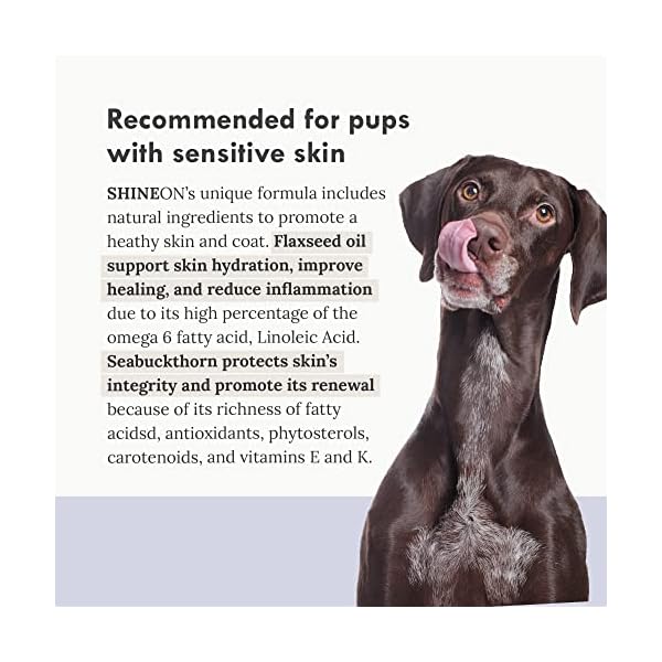 reSpin-x-Happy-Bond-Elixir-Shine-On-Skin-Coat rē•Spin x Happy Bond Elixir: Shine On - Skin & Coat Supplement