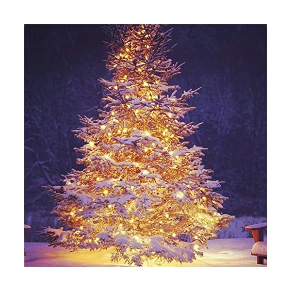 Twinkle star led string lights, plug in string lights 8 modes waterproof for indoor outdoor christmas tree wedding party bedroom - image 6