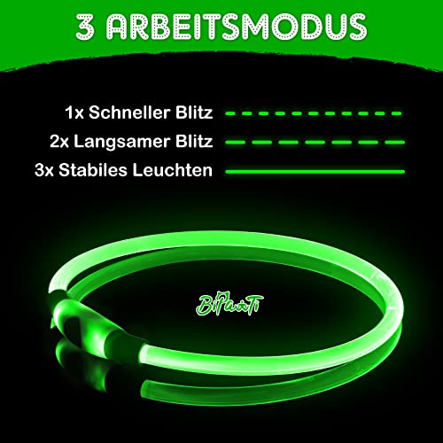 Collare Luminoso per Cani Ricaricabile USB