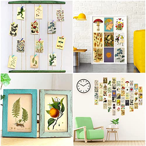 50 Pezzi Collage da Parete Botanico, Kit Poster