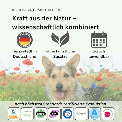 Kaer Basic Präbiotik Plus für Hunde – bei verstopften Analdrüsen, Kotfressen, Juckreiz, Pfotenlecken & Sodbrennen, mit natürlichen Ballaststoffen zur Stärkung der Darmflora - 200g Pulver