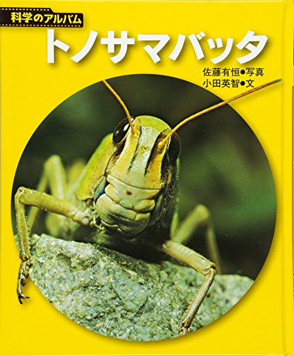 トノサマバッタ 新装版 (科学のアルバム虫 8)のサムネイル
