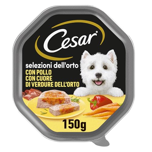 Cesar Selezioni dell'orto Cibo per Cane con Pollo con cuore di verdure dell'orto 150 g - 14 Vaschette