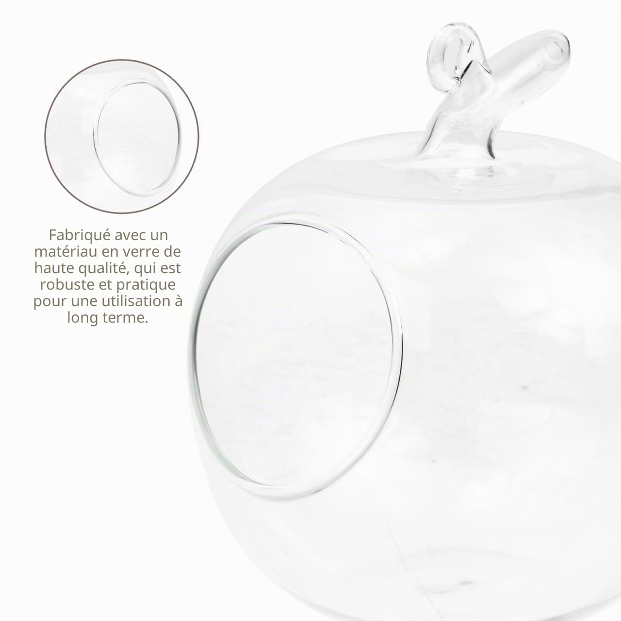 Yardwe Vase en Verre en Forme De Pomme 4.72X3.94 Pouces Récipient Hydroponique Écologique Décoratif pour Plantes Micro Paysage Maison Bureau Jardin