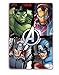 Avengers manta polar - infantil
