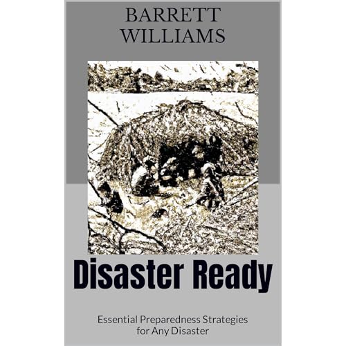 Disaster Ready | Barrett Williams, ChatGPT ChatGPT episode artwork