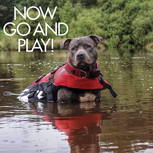 EzyDog Schwimmweste Hund - DFD Hundeschwimmweste - Schwimmwesten für für Kleine, Mittelgroße und Große Hunde - Rettungsweste mit Griff und Reflektoren, Größenverstellbar (M, Rot)