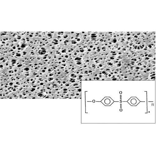 Sartorius 15407-25-MIN Polyethylsulfone Membrane Filter, 0.2 um, 25 mm (Pack of 100)