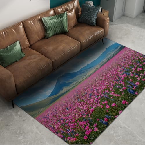 Tapis lavable et antidérapant violet 80x150 pour décoration de chambre