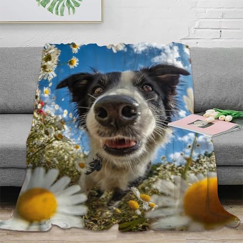 Couverture Border Collie en flanelle 100x130 cm pour lit et canapé