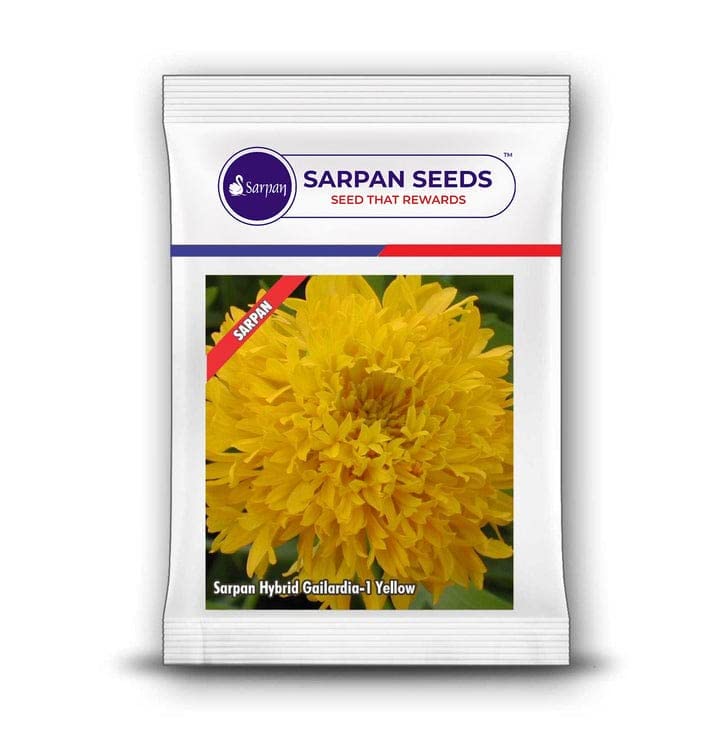 SARPAN SEEDS Sarpan Gailardia yellow flower seeds | lemon yellow Double petal flower seeds | winter flower seeds | all season flowers seeds | flower seeds (30) (B0B66KYNML) Amazon Price History, Amazon Price Tracker