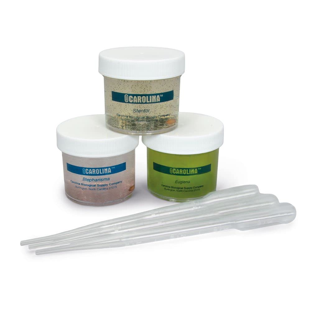 Carolina Protozoa Pigmentation Set, Living - Vividly Colored Cultures | Observe Rose, Green & Blue Pigmented Protozoa | Ideal For Microscopy & Cell Structure Studies