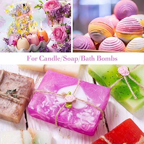 Biutee Mica Powder For Epoxy Resin 15 Colors Shimmery Pigment Powder Epoxy Resin Color Pigment Natural Resin Mica Pigment Powder For Soap Making Lip Gloss Bath Bombs Nail Polish Candle Slime #TOP5