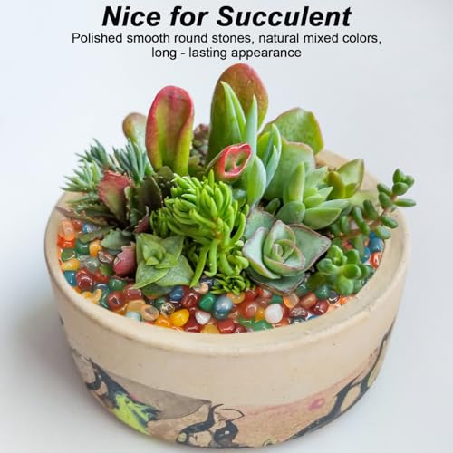 Image of Decorative Aquarium Rocks & Pebbles for Fish Tank, Plant, & Landscaping | Smooth Polished Pebbles for DIY Resin Art, Vase Fillers, Aquarium Gravel, and Potted Plants (Colorful, 5 Pounds)
