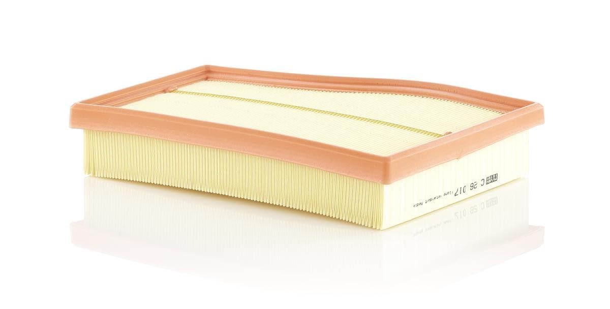 MANN-FILTER Filtro Dell'Aria C 17 217 - Per Autovetture E Veicoli Commerciali (Dimensioni: 165x86x230 Mm)