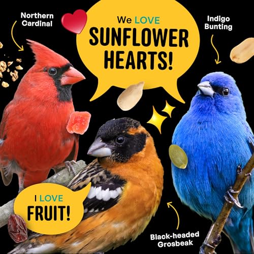 Cool Birds No Mess with Fruit Wild Bird Seed – 10 lb. 100% Edible Shell-Free Blend with Sunflower Hearts, Peanuts, Tree Nuts, Pumpkin Seed & Real Fruit – No Waste Bird Seed for Outside Feeders - Thumbnail 7