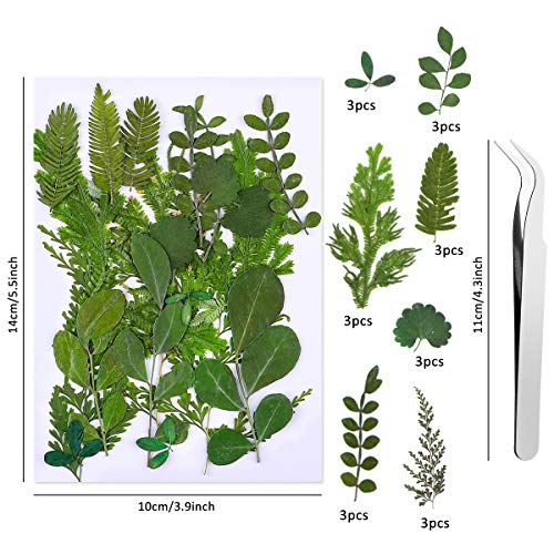 134 Stuks Echte Gedroogde Geperste Bloemen, Natuurlijke Bloemen Geperste Bloem Blad Voor DIY Hars Sieraden Maken Bloemen… - Afbeelding 4