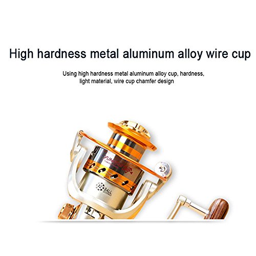 BloodFlash スピニングリール EF:9000番