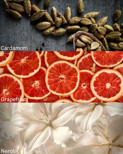 Image of TOXICMALE S Elixir + Egoist Platinum | Perfect Long lasting Men's perfume for Office | perfumes for men | Gift for him | TMA21 | 50 ml perfume | TM Perfume House