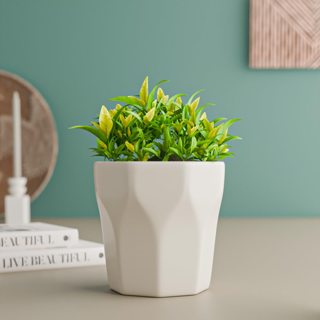 The Earth Store 5 Inch White Diamond Ceramic Planter Set of 1 | Planter for Living Room, Indoor Outdoor Plants, Garden, Balcony, Home Decor | Flower Pot Decoration | Planter (Flowers Not Included)