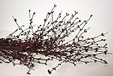 Photo Gallery cwi gifts 4ft pip berry garland, burgundy, tan, 48" Photo Gallery cwi gifts 4ft pip berry garland, burgundy, tan, 48"