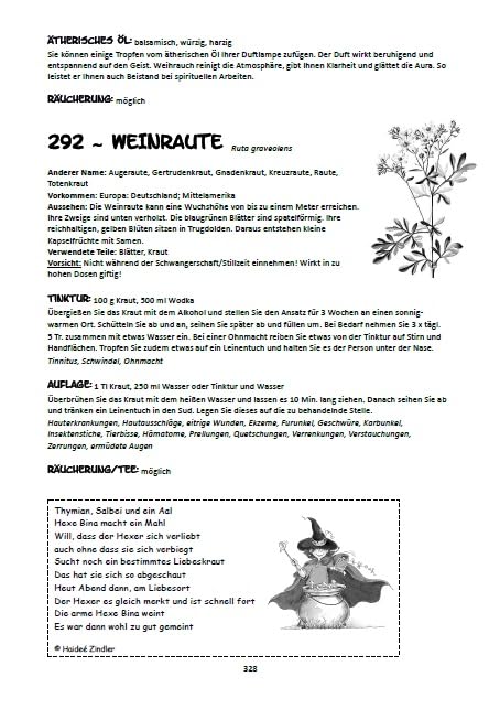 Was nicht nur Kräuterhexen wissen sollten: Ein Ratgeber & Rezeptbuch