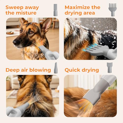 pecute Hundefön Hundetrockner, Haartrockner Blower mit Einstellbarer Temperatur & Geschwindigkeit, Haustierpflegeset Hundepflege Trockner Gebläse, Pet Dryer Kühl-Warm-Heiß Zyklusmodus