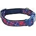 Blueberry Pet Dog Collar, Padded Dog Collar for Large Dogs, Plaid Dog Collar for Large Dogs, Boy Dog Collars, Adjustable Red Plaid Dog Collar, Comfortable Canvas Collar with Silver Hardware