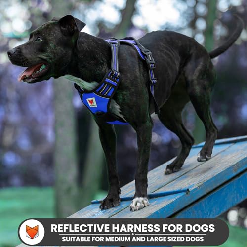 Image of Wooflix Heavy Duty Reflective Dog Harness for Large Sized Breed Dogs - No Pull, No Choke Harness for Dog with Adjustable Chest Belt with Soft Padded Handle | Blue - Size: Large (22kg to 32kg Dog)
