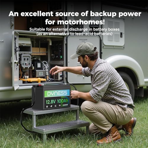 Image of Dyness 12V 100Ah LiFePO4 Lithium Battery BCI Group 31 with Low-Temp Protection, A+ Grade Cell Built-in 100A BMS, 12.8 Volt Lithium Battery Perfect for RV, Solar System, Off-Grid, Home Energy Storage