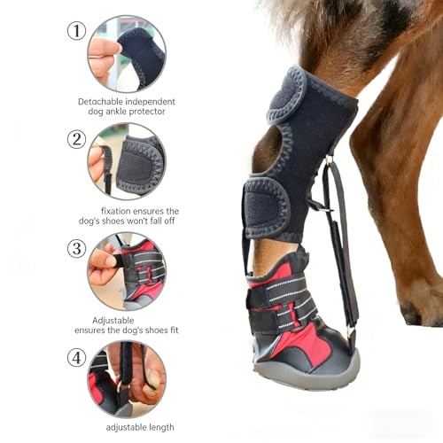 Correcteur de chaussures pour chiens ayant des problemes d'appui et de marche - 8