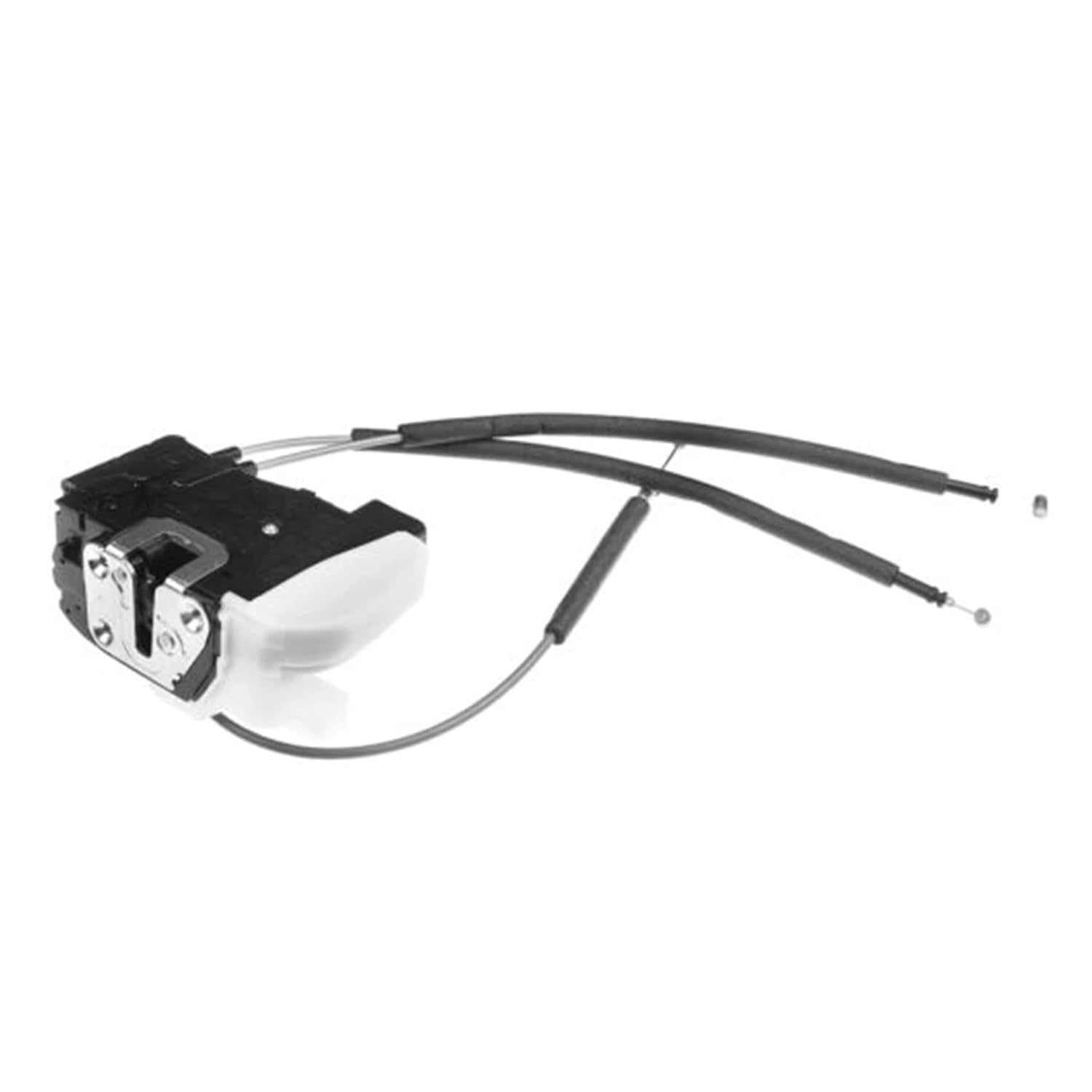 セール中…チェン・チェン直筆サイン入り2Lサイズ写真… セール中…チェン