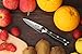 Dnifo Paring Knife, Fruit Peeling Knife Japanese VG10 Damascus Steel 67 Layer Razor-Sharp-3.5 Inch Kitchen Knife Stainless Steel Small Sharp Knife with High-Density Fiber Handle for Kitchen Cutting