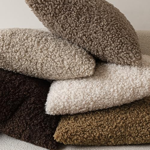 Image of Foindtower Set of 2 Curly Teddy Wool Pillow Covers Decorative Boucle Textured Lumbar Throw Pillow Faux Fur Sherpa Pillowcases Sheepskin Fuzzy Cushion Case for Sofa Bedroom Car 12 inchx20 inch Dark Brown