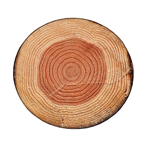 Bois Imprimer Round Tapis Maison Bureau Salon Chambre Confortable Pile Courte Décoration Tapis de Jeu Lavable pour la Chambre, Convient aux Enfants Fille Garçon Play Mat(marron1,60x60cm) Cover