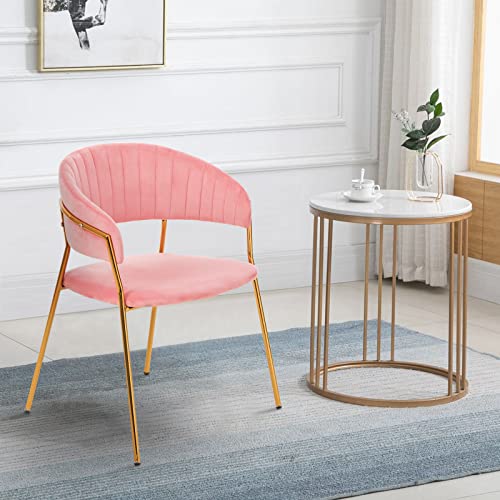 Bowthy Vanity Chair For Makeup Room - Mid Century Modern Accent Chair For Living Room Bedroom, Makeup Chair With Back Support Velvet Chair With Gold Legs (Rose Pink) #TOP6