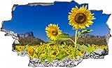 Qualitäts-Markenprodukt aus eigener Herstellung auf matter Vinyl Folie.