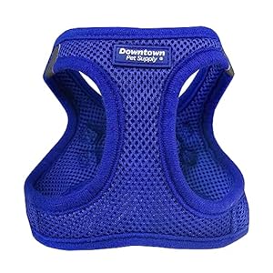 Downtown Pet Supply Step-in Dog Harness – No Pull, Adjustable Padded Mesh with Reflective Trim, Secure Buckle Strap – Comfortable & Breathable Small Dog Harness, Small, Blue