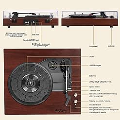 Chinflly Platine Vinyle Bluetooth, Tourne Disque Vinyle avec USB AUX Haut-Parleur Stéréo Intégré Conception de Valise… - Les Beatles, Paul McCartney, John Lennon, RIngo Starr, George Harrison Chinflly Platine Vinyle Bluetooth, Tourne Disque Vinyle avec USB AUX Haut-Parleur Stéréo Intégré Conception de Valise… – Image 3